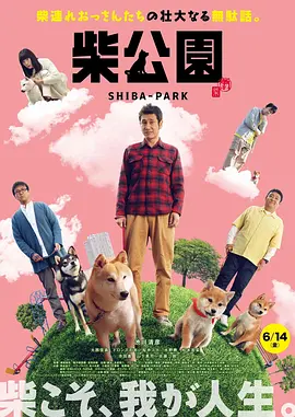 狠狠躁天天躁夜夜躁婷婷