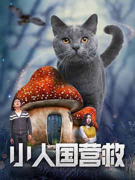 男男一区