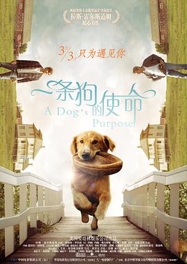 国产精品久久久久久一区二区