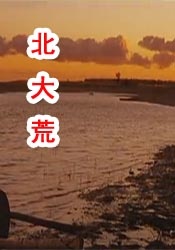 日本二区在线观看