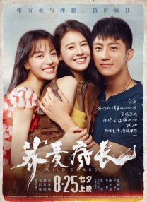 操17p