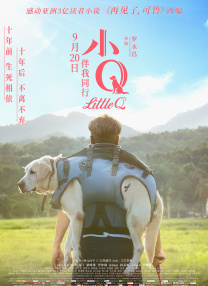 宫下玲奈番号