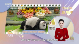 欧美色成人综合